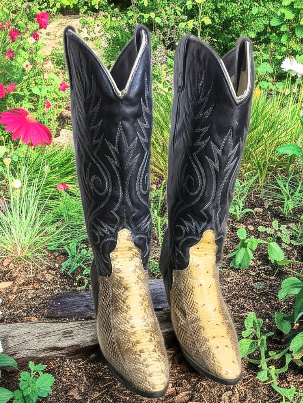 Women's Acme Cowgirl Boots Snake Skin Leather 8.5M, 2 Tone Blk & Beige Excellent